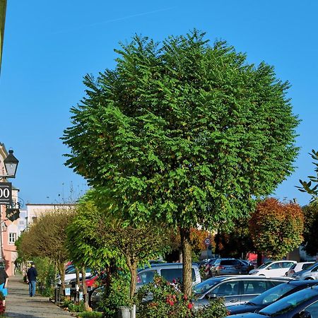 Ferienwohnung Tittmoning Zwischen Salzburg, Burghausen Und Oesterreich Luaran gambar