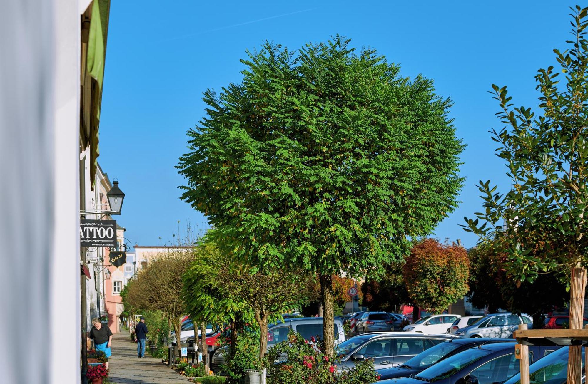 Ferienwohnung Tittmoning Zwischen Salzburg, Burghausen Und Oesterreich Luaran gambar